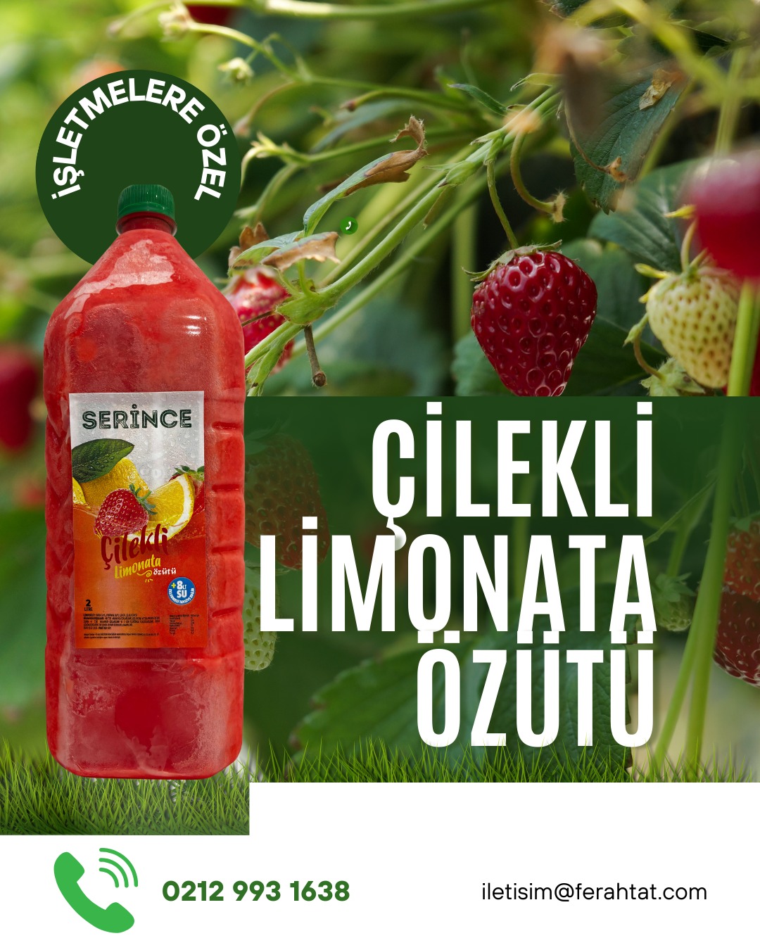 ÇİLEKLİ LİMONATA ÖZÜTÜ